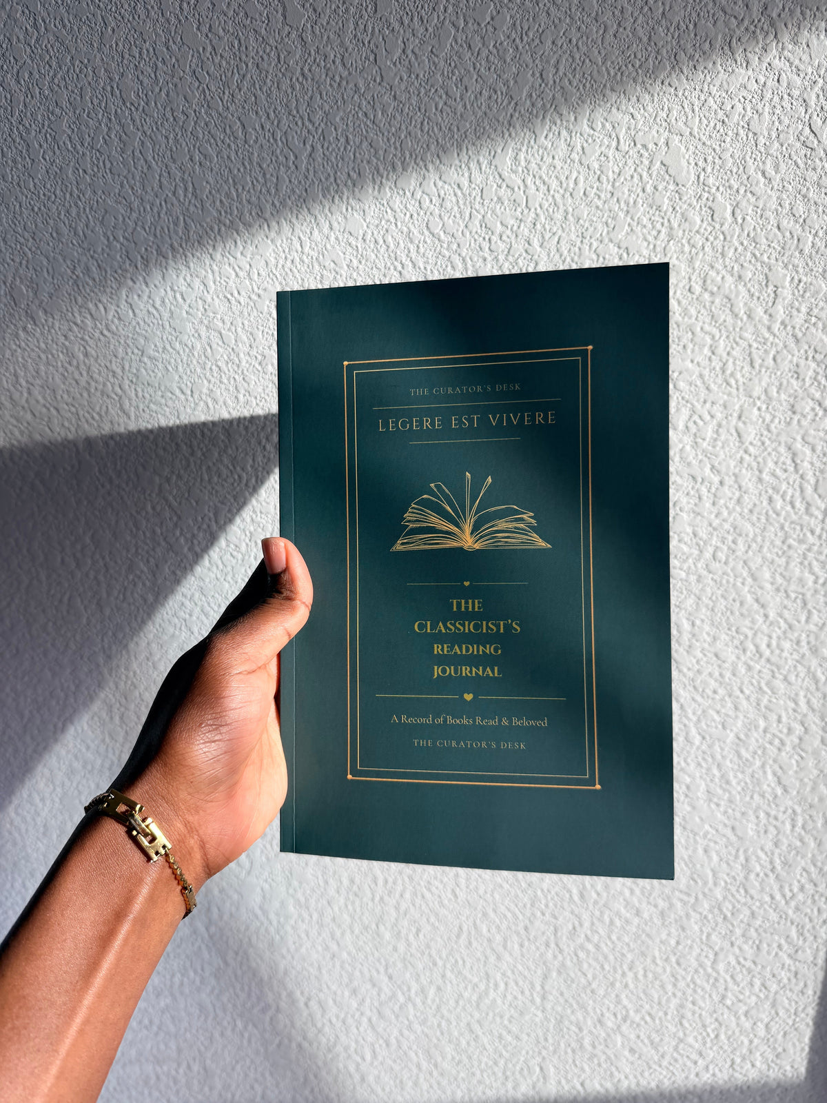 An Intentional Reader | TheCuratorsDesk