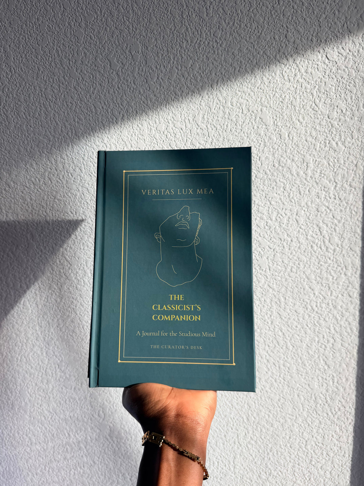 A Canvas for Self Examination | TheCuratorsDesk