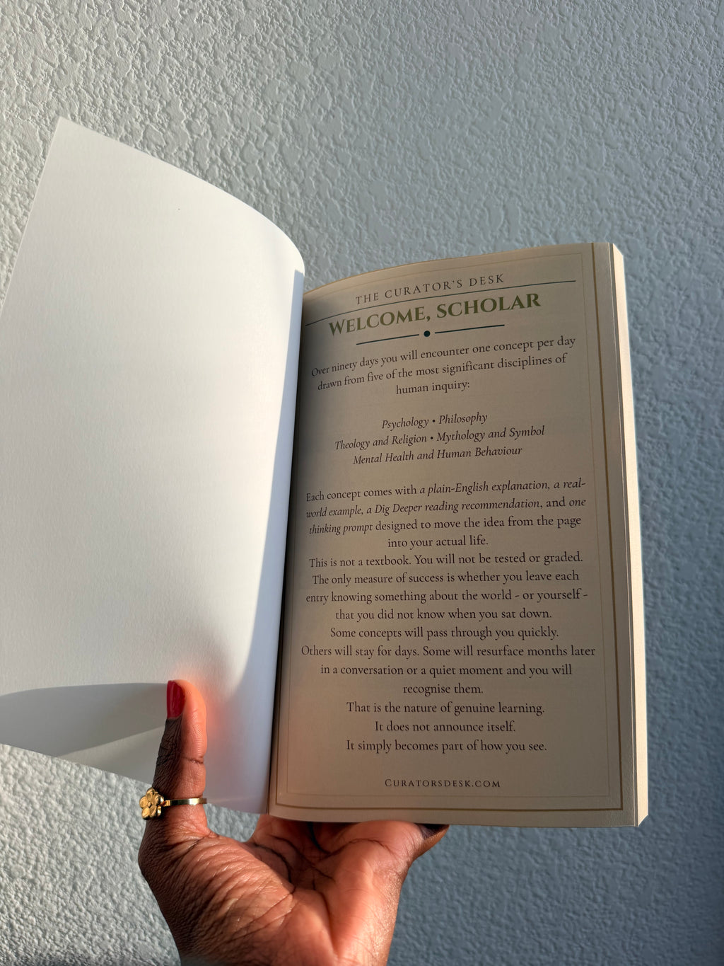 Scholar’s Curiosity Journal — 90 Concepts Across 5 Disciplines