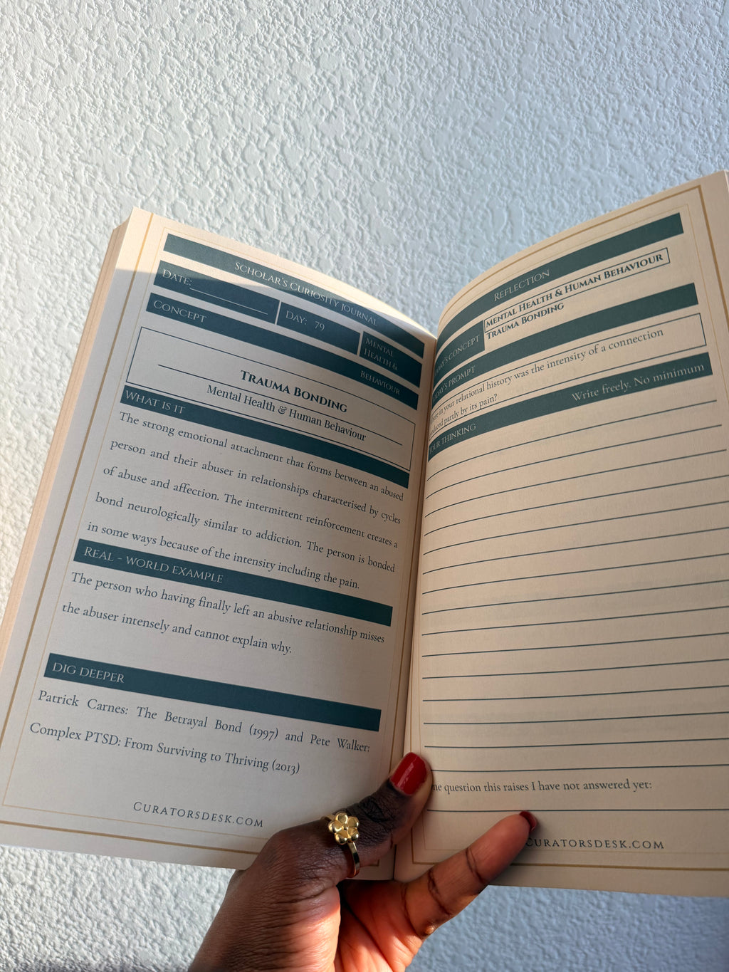 Scholar’s Curiosity Journal — 90 Concepts Across 5 Disciplines