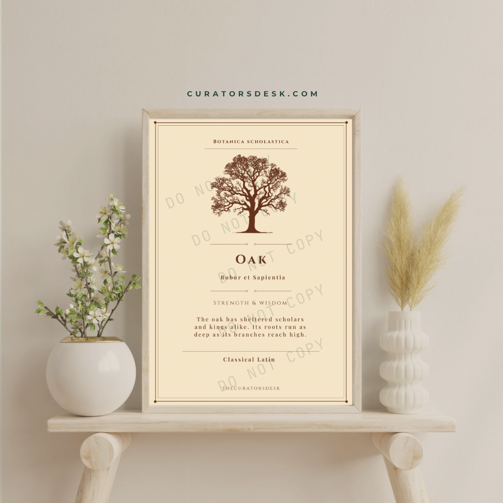 Botanical Print Set Vol. I — Complete Bundle Literary Parchment Wall Art